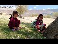 The daily life of pern shuliz family in beautiful nature with the help of saleh and arslan