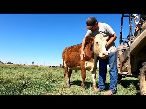 Video: The Cowboy Cauldron Lets You Cook Like A Rancher (No Ranch Needed)