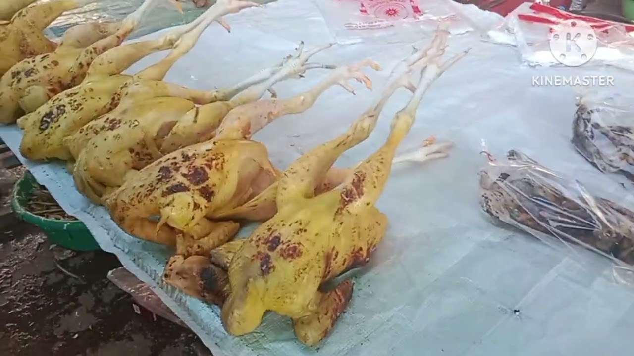 ตลาดบางบอนเป็ดไก่สดๆราคาก็ไม่แพงนะพี่น้อง ฝากทุกคนกดติดตามช่อง คำหวาด ชาแนล ให้แหน่เด้อ