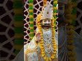 #runicha_sarkar #baba 📍 baba Ramdev mandir mukhya sodala Jaipur 🚩🚩🙏🙏 Jai baba ri 🚩🚩