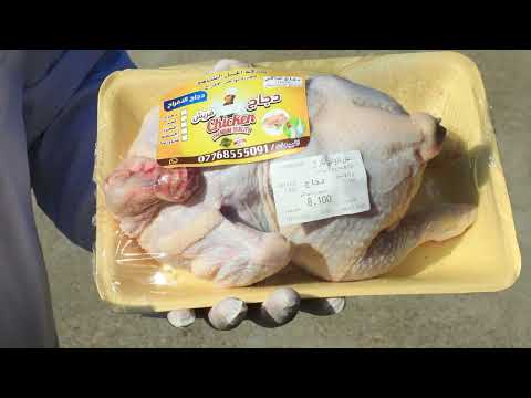 وزارة الزراعة تتابع ميدانيا مشاريع مجازر الدواجن في محافظة بغداد قضاء النهروان وتوثق عمليات الجزر