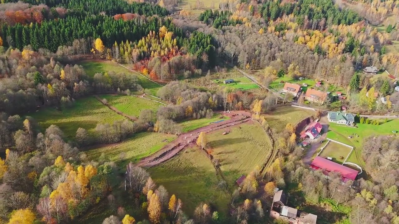 Działki rekreacyjne w otulinie:lasu, ciszy,spokoju - Działka - Sprzedaż - Kłodzki, Lewin Kłodzki / Kocioł
