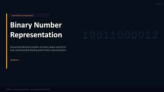 Binary Representation of Decimals + Floating Point Errors Explained | Problem 3
