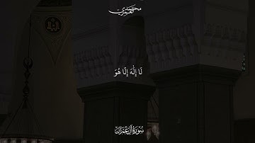 تلاوة من سورة ال عمران الشيخ محمد العمري