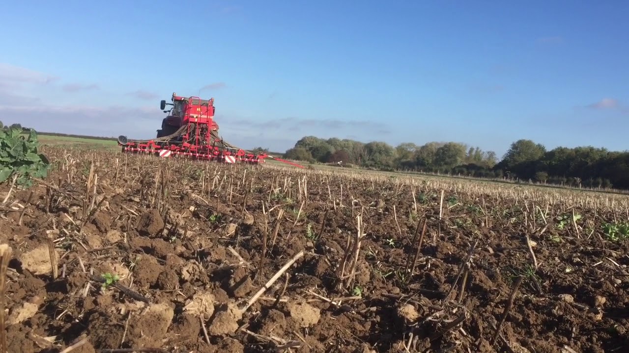 Dale Drills MTD Direct Drilling Wheat YouTube