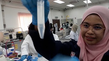 High Performance Liquid Chromatography (HPLC) - HausBooM