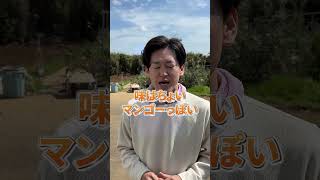 ヤマボウシの真実しってた?