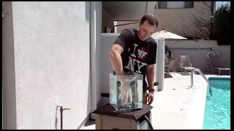 Collect all songs on RatedRR videos : Flir One Drop Test