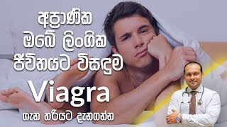 අපරණක ඔබ ලගක ජවතයට වසඳම වයගර - Dr. Namal Wijesinghe