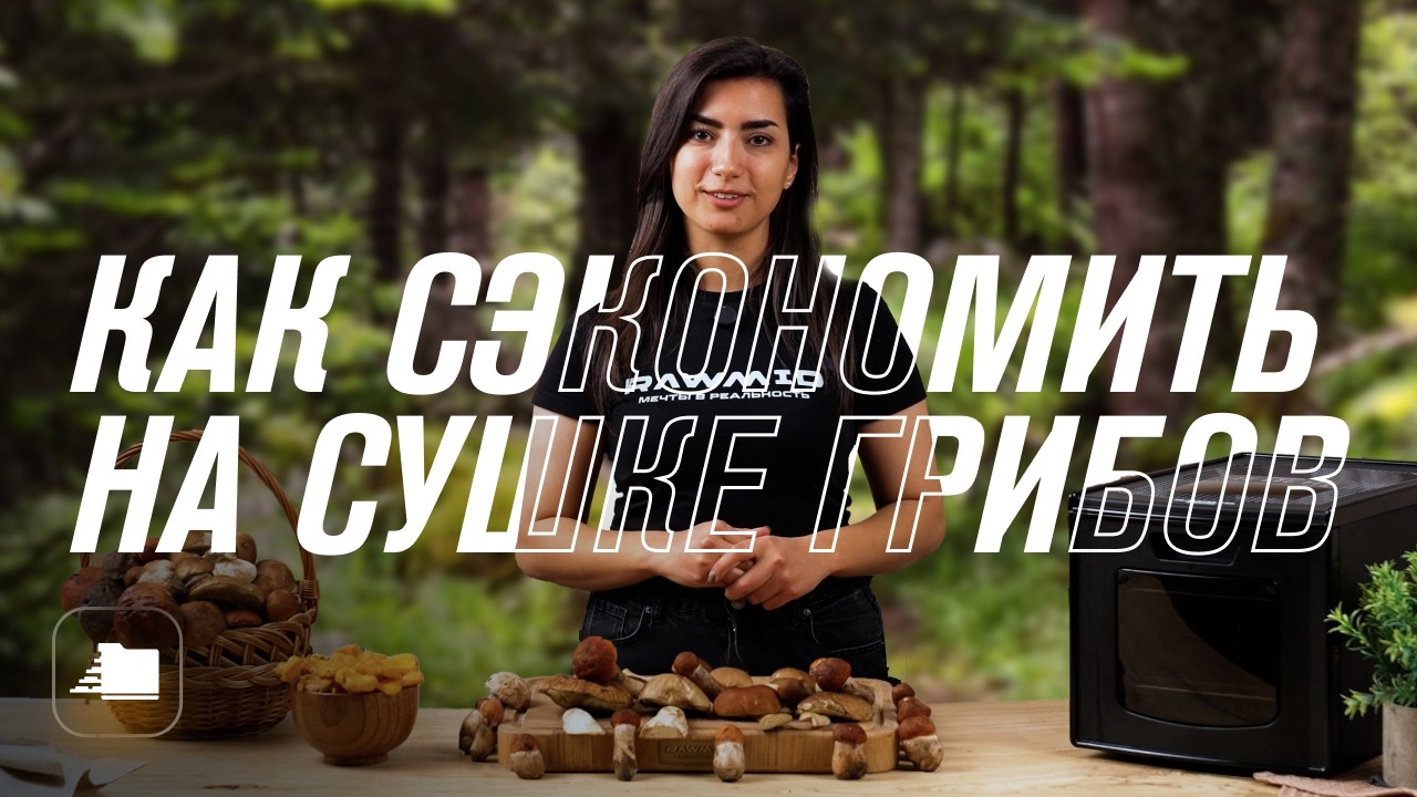Сушка грибов в дегидраторе RAWMID Classic RCD-06 как сохранить свежесть и питательные вещества