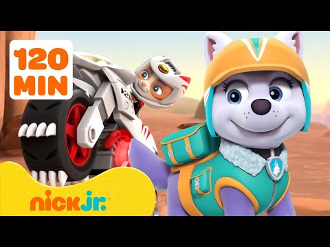Paw Patrol | ¡PAW Patrol en acción fuera de Bahía Aventura! | 120 minutos | Nick Jr