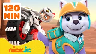 Paw Patrol Paw Patrol En Acción Fuera De Bahía Aventura Nick Jr