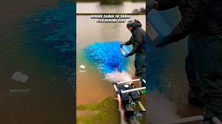 Cairan Yang Mampu Merubah Danau Yang Kotor Menjadi Biru