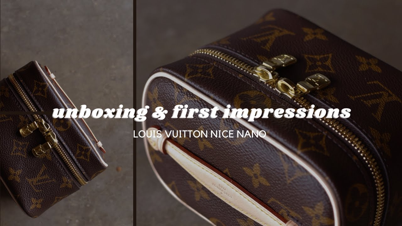 Louis Vuitton Nice Nano VS Nice Mini  Pros & Cons + MOD SHOTS // Louis  Vuitton Toiletry Pouch 