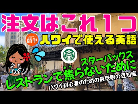 みんなのアロハちゃん / ハワイ旅行初心者情報 - YouTube
