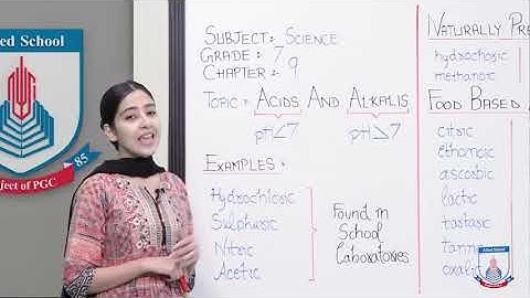 Class 7 - Science - Chapter 9 - Lecture 1 Introduction to Acids - Allied Schools