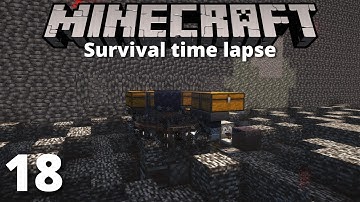 Making a WITHER MOB SWITCH | Survival Time Lapse #18