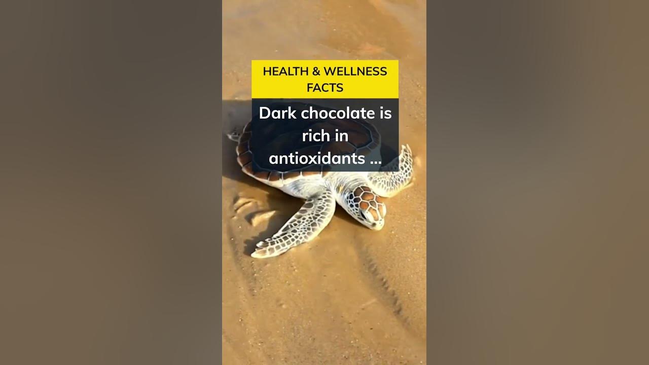 Do You Like Chocolate Which One Is Your Favorite Comment Below facts do-you-like-chocolate-which-one-is-your-favorite-comment-below-facts