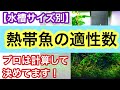 【熱帯魚の適正数は!?】プロは水槽サイズ別に計算をして適正数を決めます!