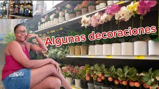 Recogiendo mangos 🥭🥭/trasplantando potos/en busca de zapatos,algunas decoraciones by Odalis Rosario  y más  131 views 2 weeks ago 31 minutes