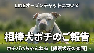 【ライブ】相棒犬ポチのご報告とLINEオープンチャットについて