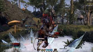 Elder Scrolls Online | 4K Shot with GeForce GTX 1080 TI SLI