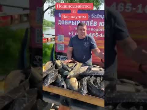 Как наловить осетра на платных водоёмах