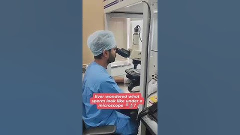 Ever wondered what sperm look like under a microscope🔎🔬?  #fertility | #infertility | #IVF
