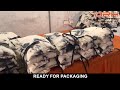 Packaging Process of Tie and Dye Hoodies at DRH Sports | Tie and Dye Hoodies Manufacturers in USA