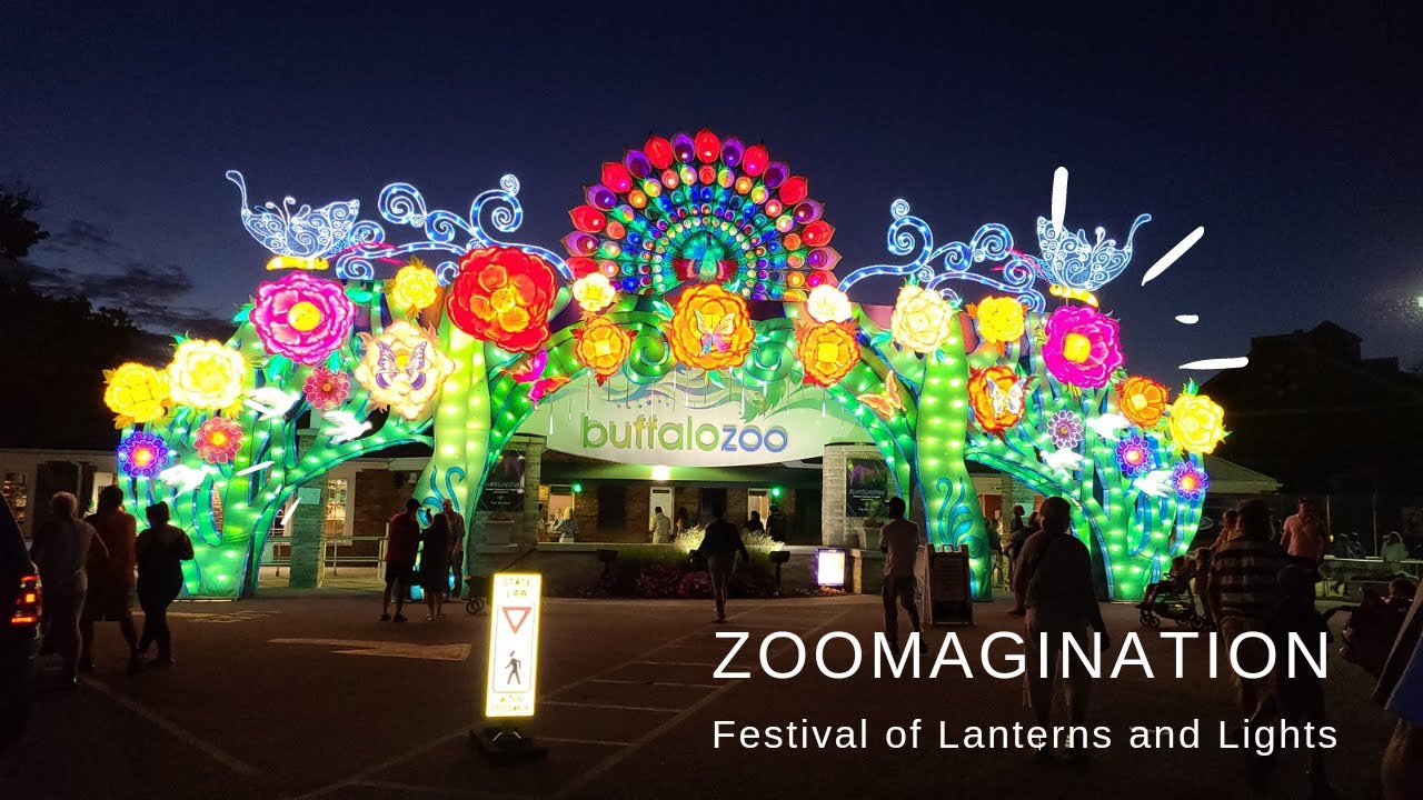 Zoomagination at The Buffalo Zoo Festival of Lanterns and Lights YouTube