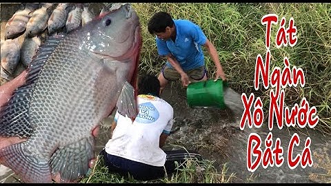 Đi tát mương mò hang bắt cá | Fishing| Anh Em Tát Cạn Con Mương Để Bắt Cá |Thích Trải Nghiệm Channel