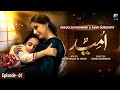 Umeed - Episode 01 | 31st August 2020 - HAR PAL GEO