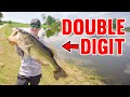 Catching a double digit bass bank fishing