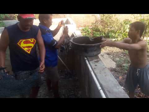 mantap-jiwa!!-panen-lele-2.000-ekor-dapat-150kg