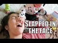 Slapped in the Face- February  06, 2015 ItsJudysLife Vlogs