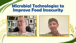 Feeding the Future: The Role of Microbial Technologies to Improve Food Insecurity