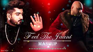 Feel The Jaani Mash Up