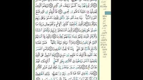 الصفحة (487) من المصحف الشريف ( سورة الشورى - مشروع حفظ القرآن الكريم )