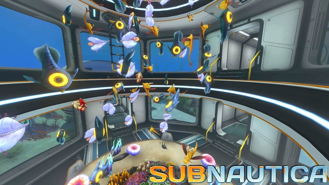 subnautica vr catch fish subnautica vr catch fish
