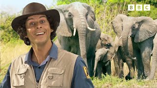LIVE: Endangered Wildlife | Discover Animals with Andy | Andy's Adventures