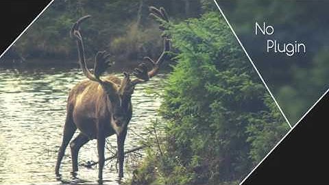 Elegant Parallax Lines Slideshow After Effects Template