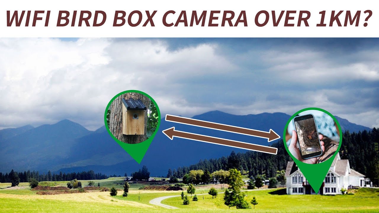 Long Range Wireless Versatile IP Camera - Green Backyard