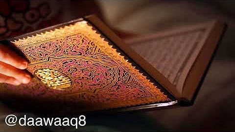 سورة المسد للقارئ هزاع البلوشي كاملة