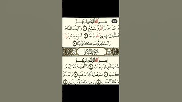 سورة المسد سورة النصر