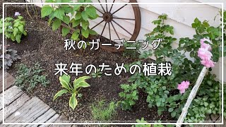 【ガーデニング】新花壇に宿根草セット植え込み完了＊今日の裏庭の様子