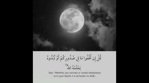 قران كريم بصوت احمد العجمي 💙🍃 أجمل حالات واتس اب دينية مقاطع دينية قصيرة مقاطع انستقرام دينية