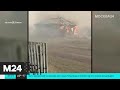 В Омской области полдеревни сгорело из-за лесного пожара - Москва 24