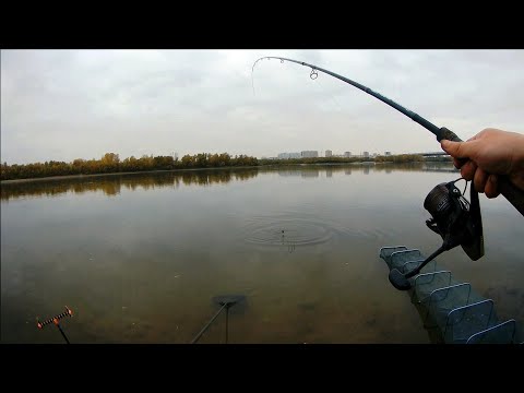 Video: Neidentifikovaná „chlupatá“ryba Byla Chycena V Ukrajinské řece Desna - Alternativní Pohled