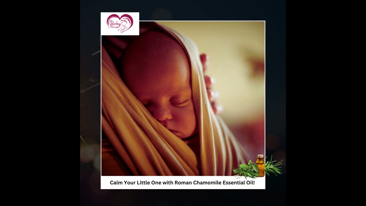 Calm Your Little One with Roman Chamomile Essential Oil! 🌼