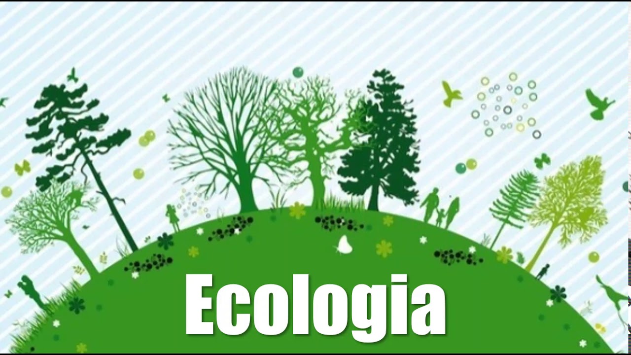 Conceitos de Ecologia Ciências 6° ano YouTube Conceitos de Ecologia Ciências 6° ano YouTube
